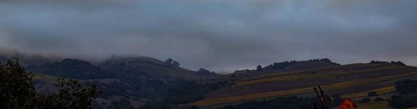 Weekend Wrap 1/25/2026