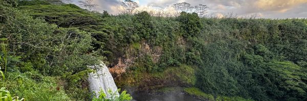 Weekend Wrap 3/01/2026