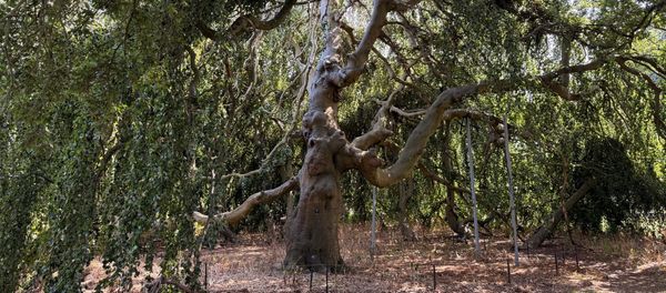 Weekend Wrap: Loneliness Assuaged by Dungeons and Dragons