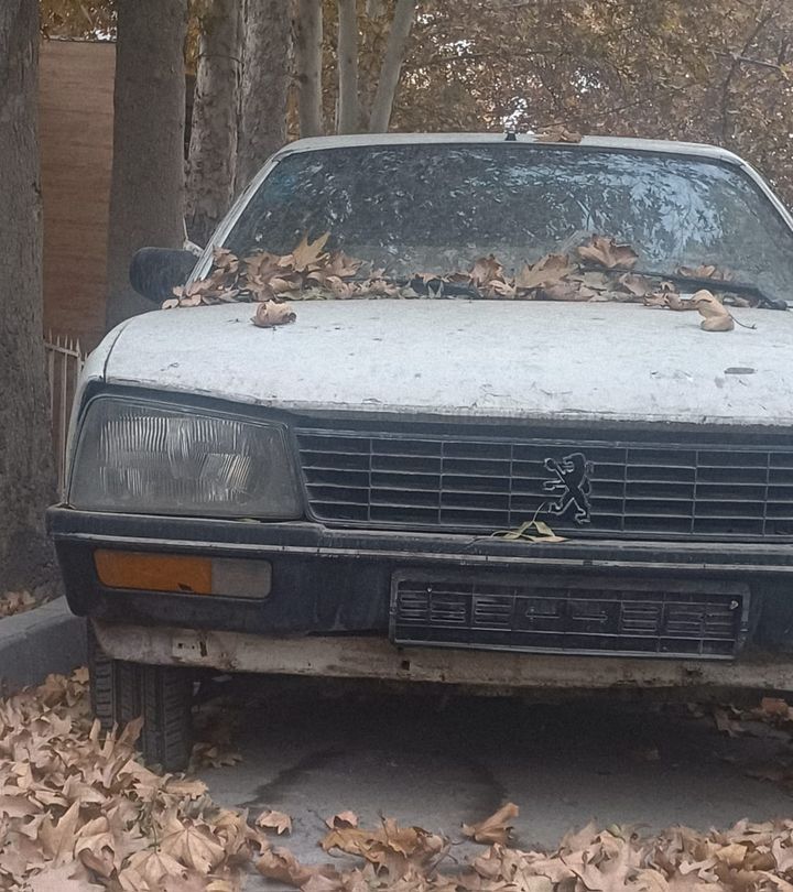 The White Wagon in Autumn
