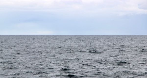 Trump’s Marine Murders