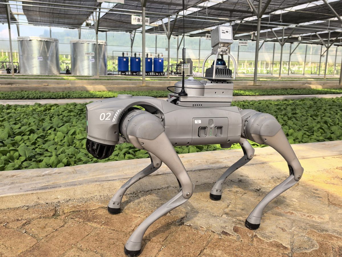 Unitree’s Go2 Robot Supports a New Generation of Tech-Enabled Farmers