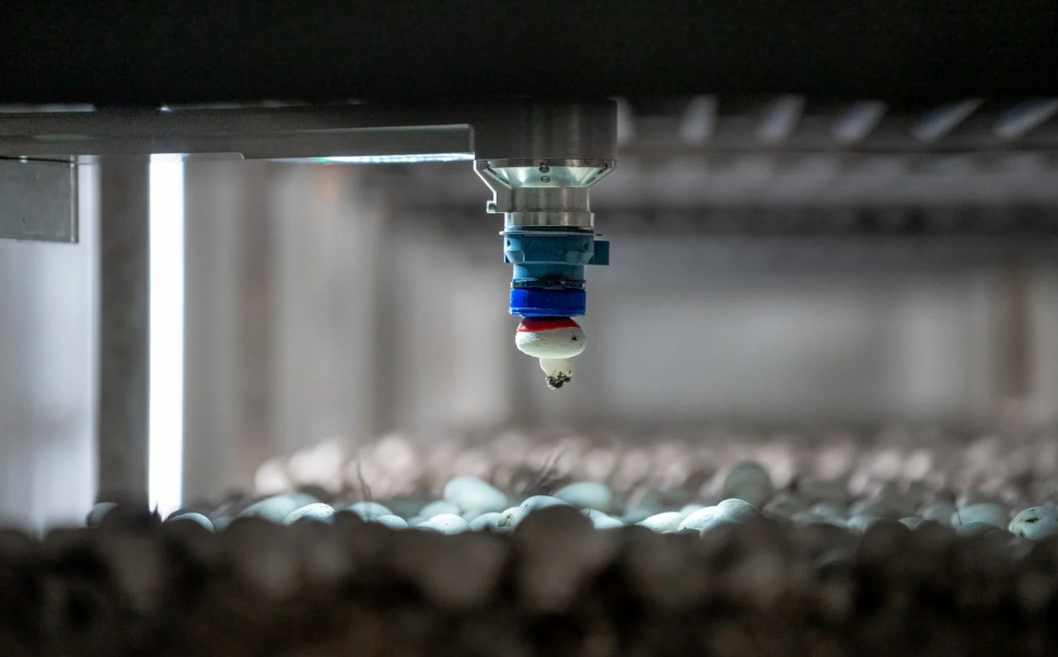 4AG Robotics Secures $40M Series B to Scale Robots Harvesting Mushrooms