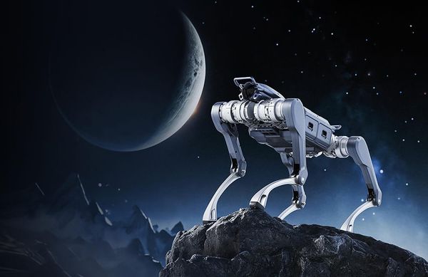 Unitree Debuts A2 Quadruped Robot With Extended Endurance and Industrial-Grade Design