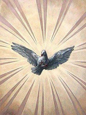The Catholic Charismatic Renewal (II)