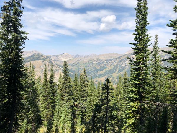 National parks & forests