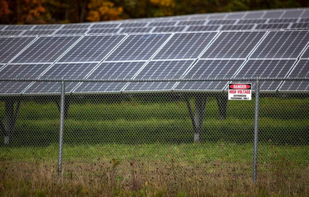Un panel solar montado en el suelo en Grafton, Mass. (Robin Lubbock/WBUR)