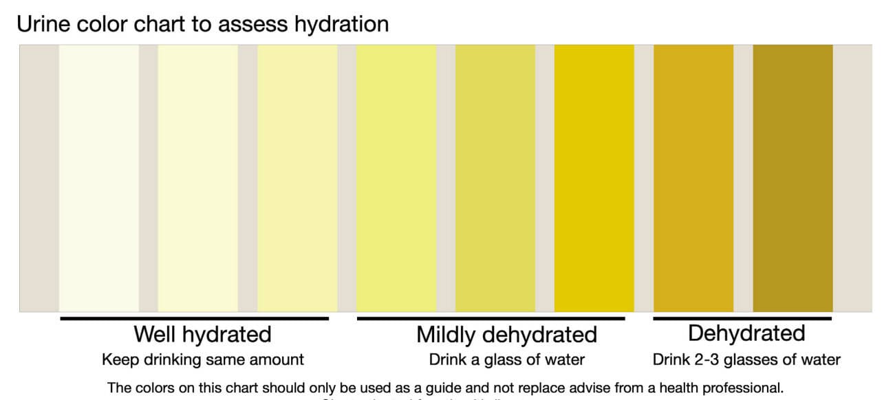  Una tabla de colores de orina para evaluar la hidratación que C-CHANGE proporciona a sus pacientes. (Cortesía de Harvard T.H. Chan School of Public Health C-CHANGE/Adaptado de Healthdirect Australia)

