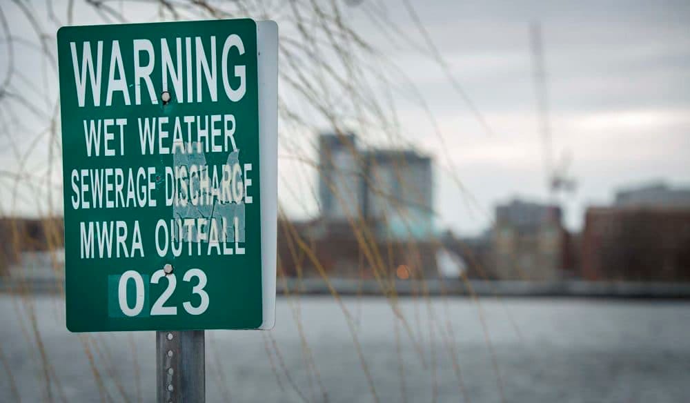 Una advertencia de desagüe de descarga de aguas residuales de clima húmedo MWRA en el río Charles junto a la salida del río Muddy de Boston. (Robin Lubbock/WBUR)