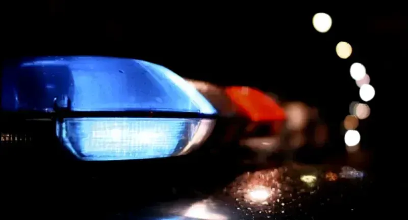 Hombre es acusado de crueldad animal tras el hallazgo de 96 animales muertos en Sturbridge