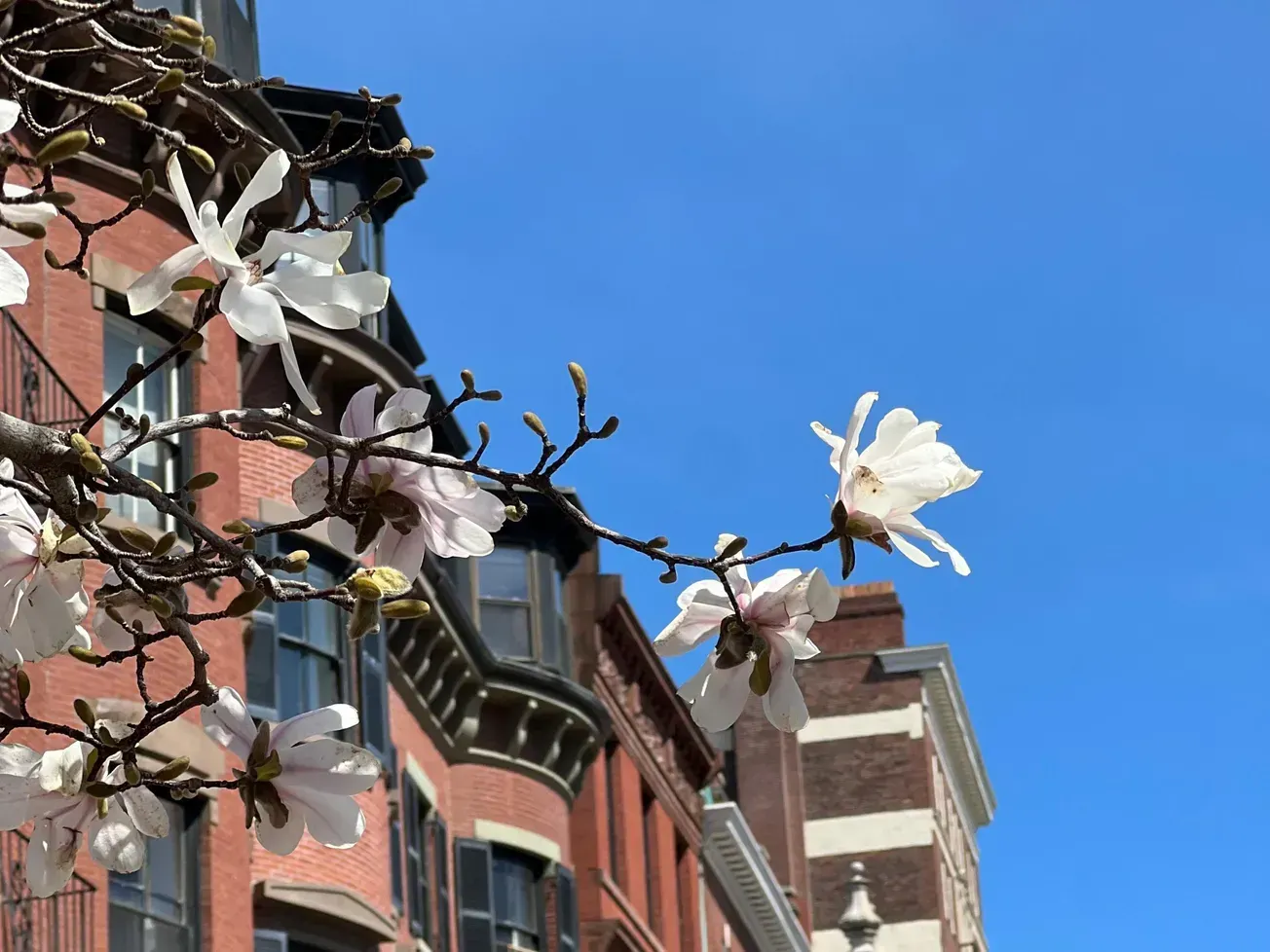 Las limpiezas programadas de Love Your Block se llevarán a cabo el 5 y el 12 de abril