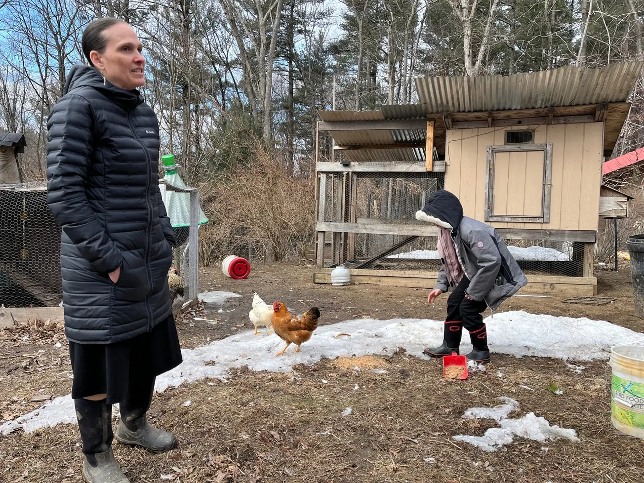 La granja en Massachusetts que desafía la gripe aviar