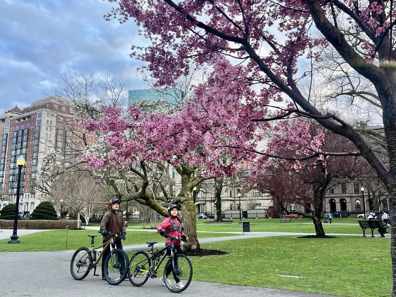 ¿Qué hacer en Boston esta semana del 07 al 13 de abril?