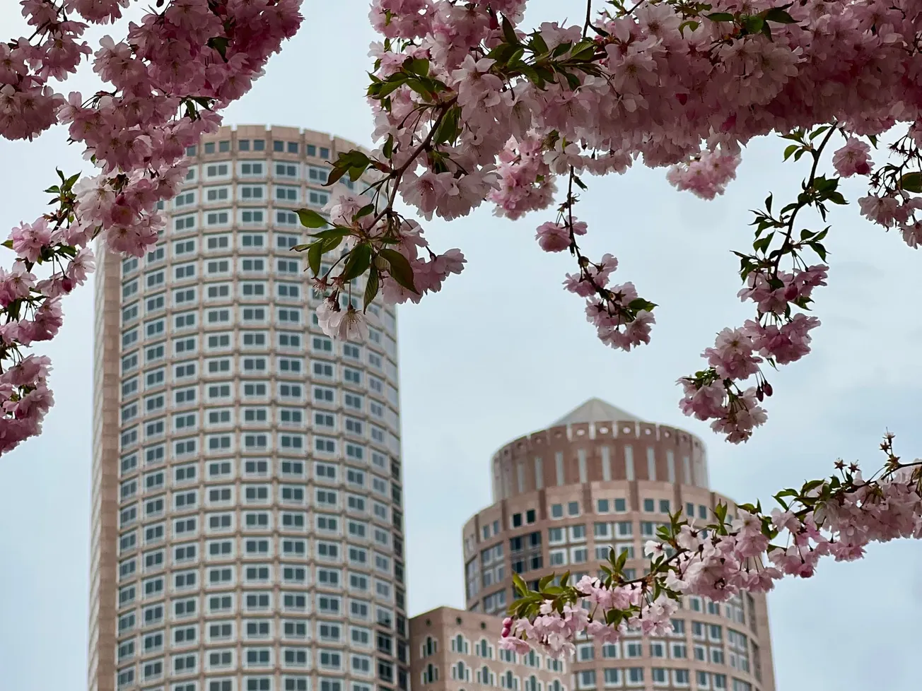 ¿Qué hacer en Boston esta semana del 21 al 27 de abril?