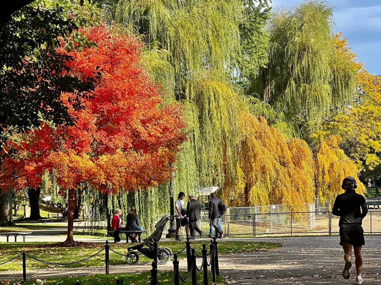 Boston entre las tres ciudades más cómodas para caminar de EE.UU.