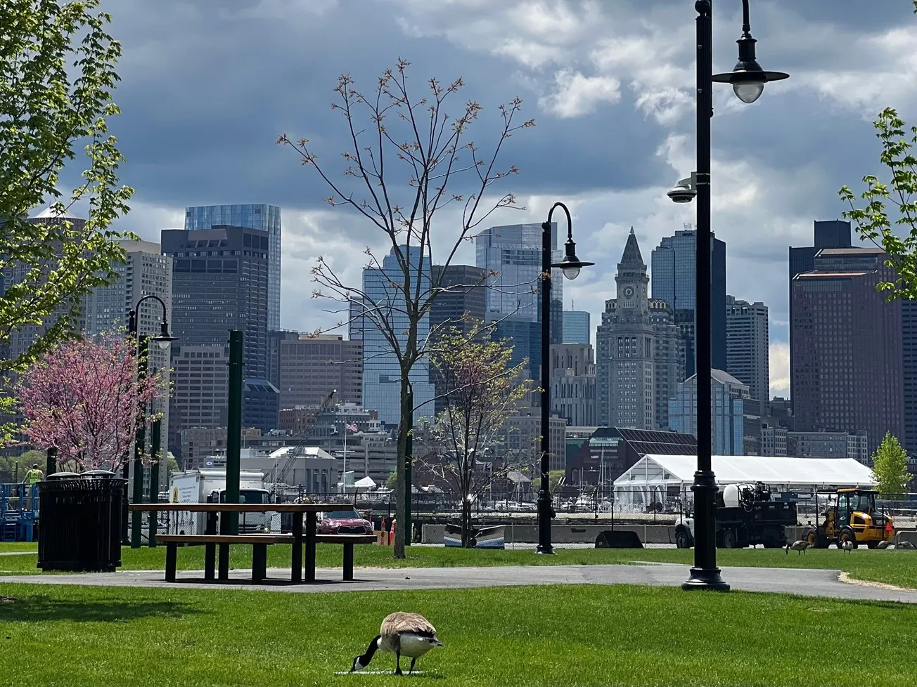 ¿Qué hacer en Boston esta semana del 14 al 18 de mayo?