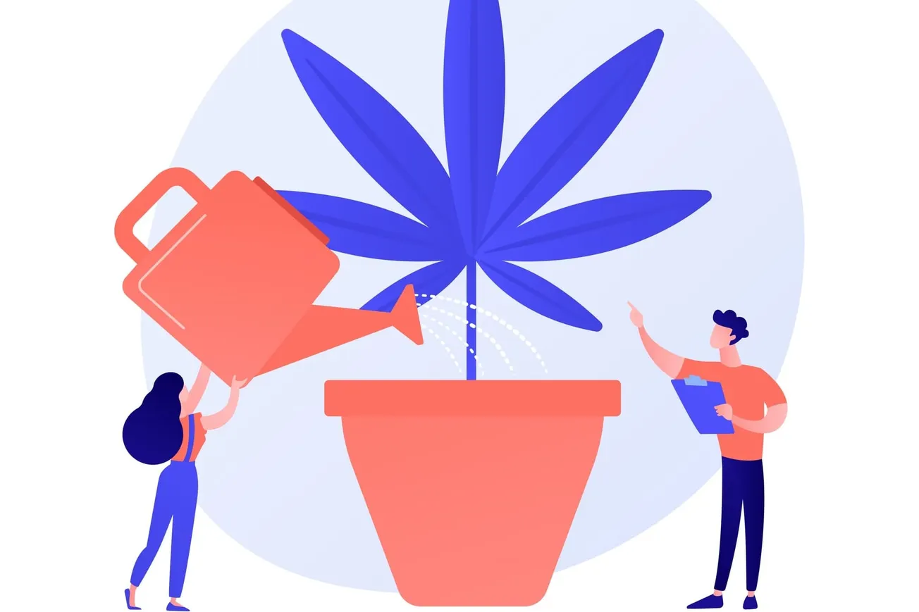 Más marihuana, más problemas para los adultos mayores