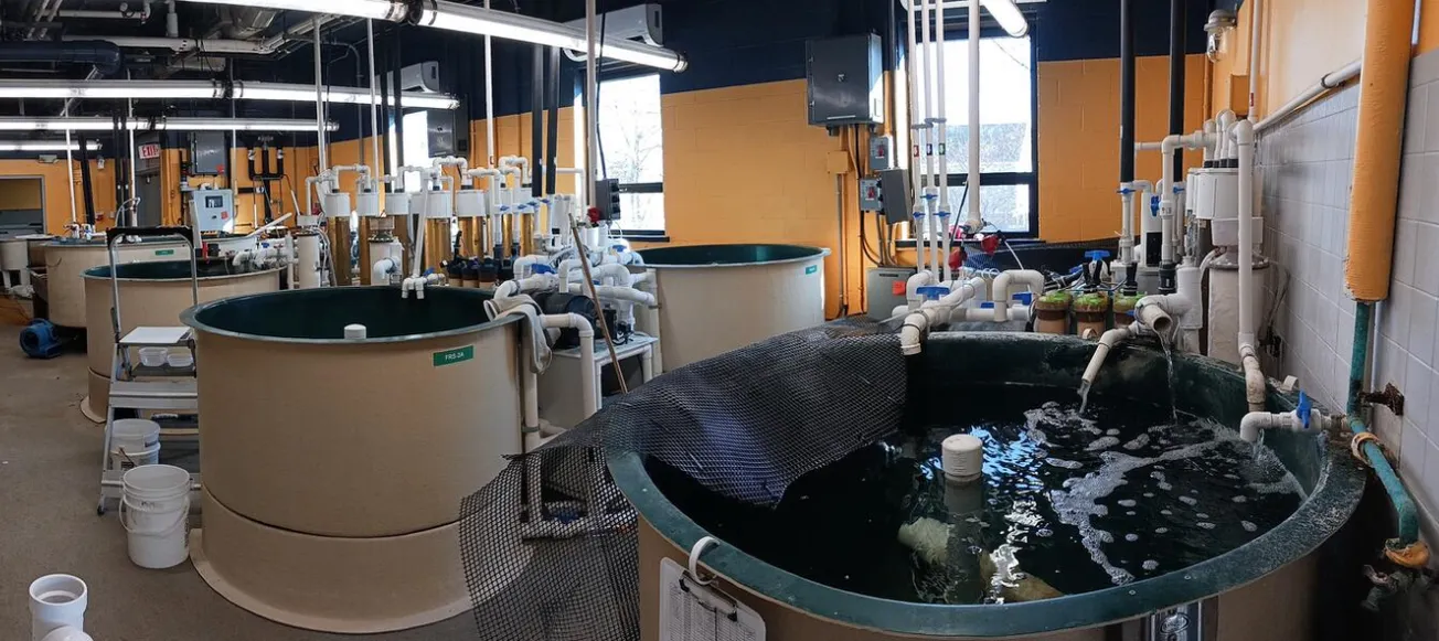 Salem celebra Marine Quest: Festival familiar gratuito este 14 de junio