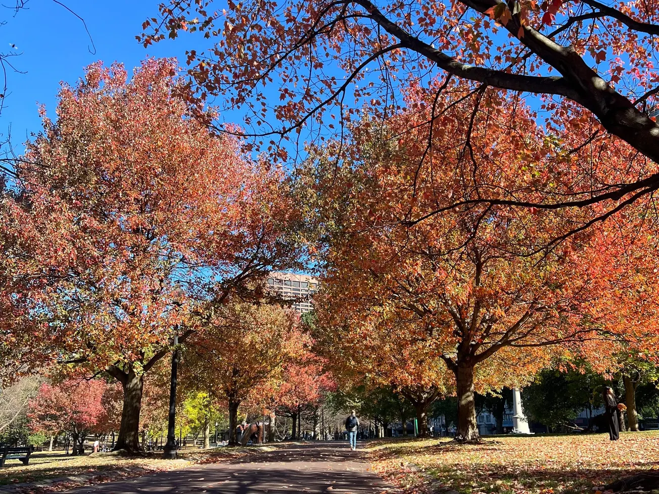 ¿Qué hacer en Boston esta semana del 29 de septiembre al 5 de octubre?