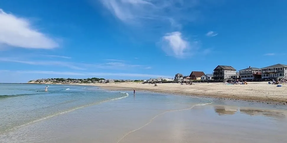 Tiburón ataca a una foca y provoca cierre de dos playas en Plymouth