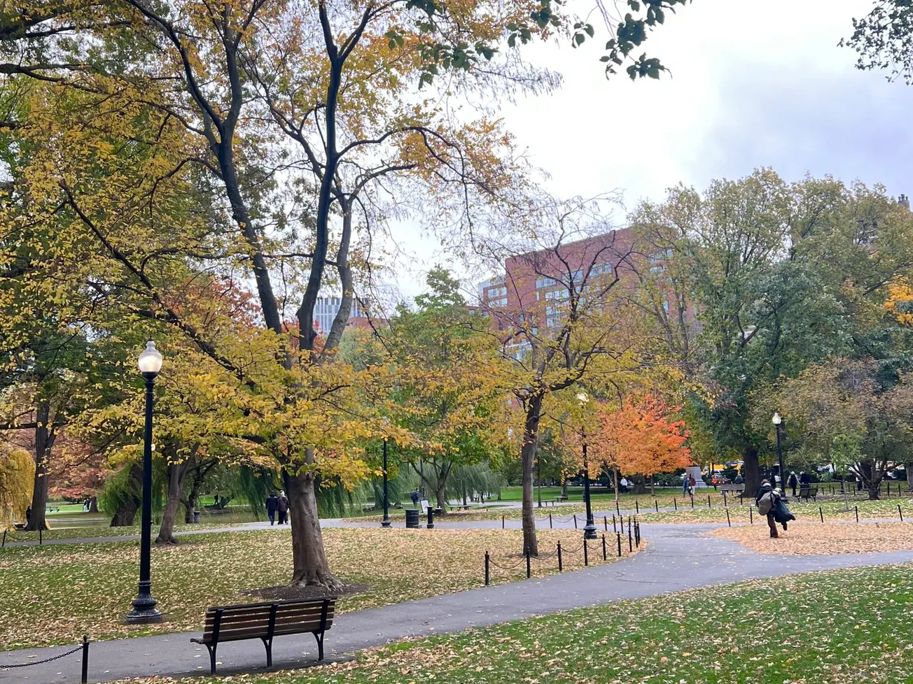 Boston se prepara para vientos potentes que podrían sentirse esta noche