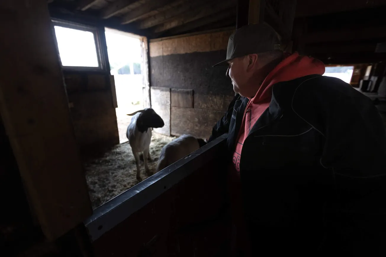 Con dos cabras y un poni, un “rancho” de tratamiento de adicciones echa raíces en Mass.