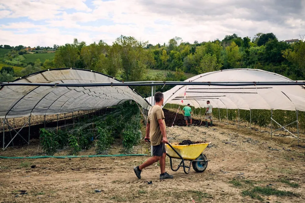 El escandaloso pasado del modelo de tratamiento para la adicción de San Patrignano