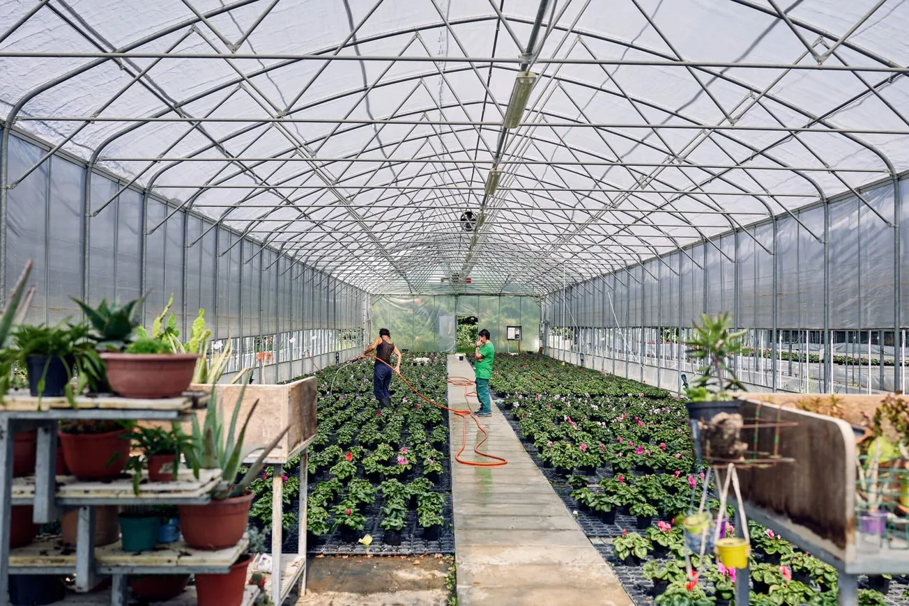 RFK Jr. quiere “campamentos de sanación” para la adicción como San Patrignano. Así opera el famoso centro de rehabilitación