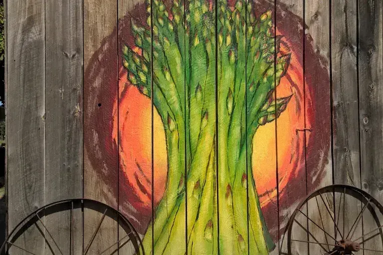 Espárrago: Proponen convertirlo en el vegetal oficial del estado