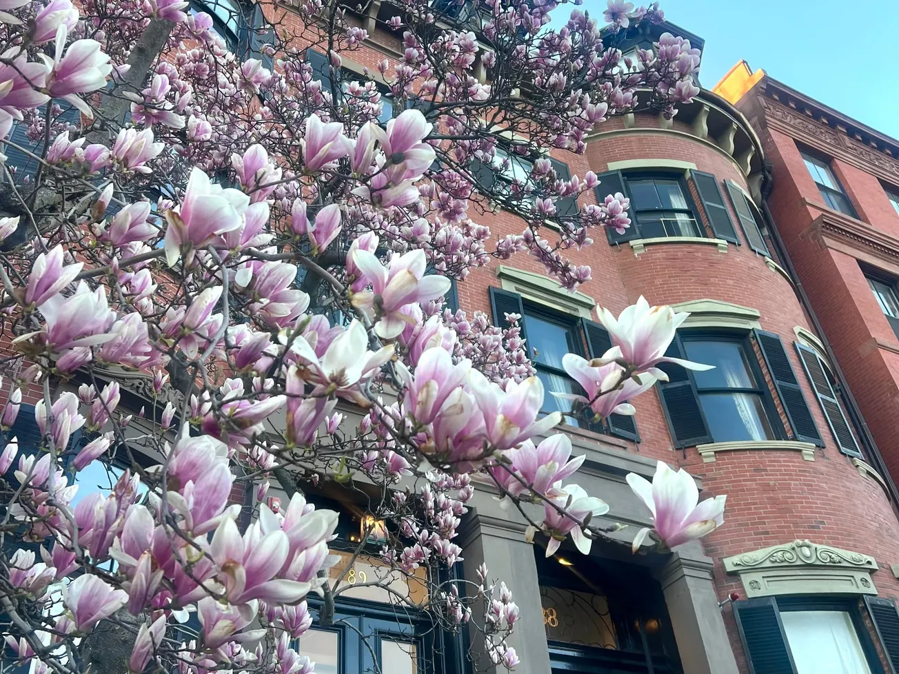 EVENTOS DE LA SEMANA EN BOSTON DESDE EL 13 HASTA EL 19 DE ABRIL