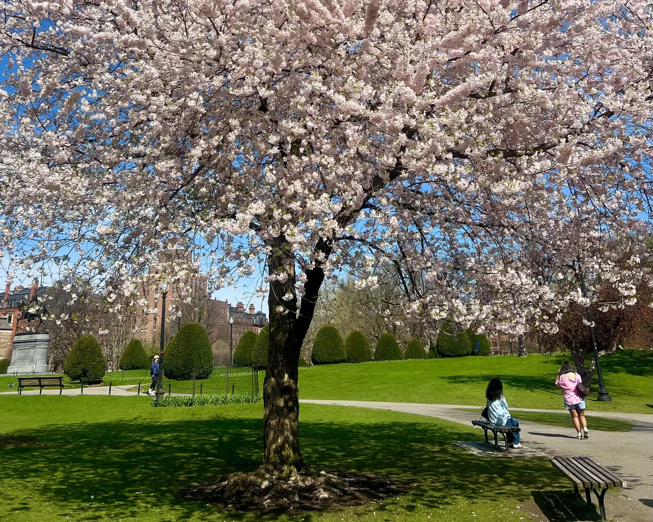 EVENTOS DE LA SEMANA EN BOSTON DESDE EL 21 HASTA EL  26 DE ABRIL