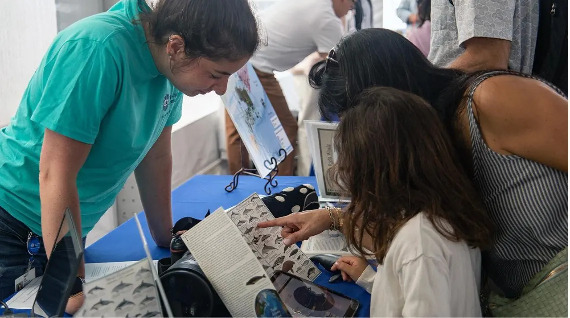El New England Aquarium celebrará el Día del Océano con actividades gratis el 7 de junio