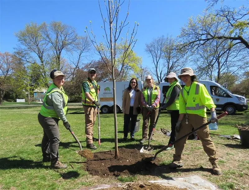 Si vives en ciudades como Chelsea, Lawrence o Lynn, puedes recibir un árbol gratis este verano