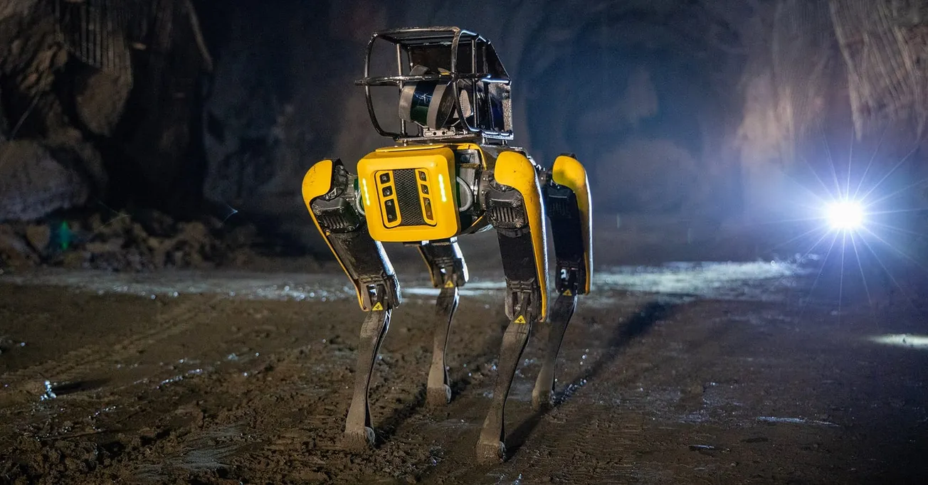 ICE evalúa comprar perros robot fabricados en Massachusetts