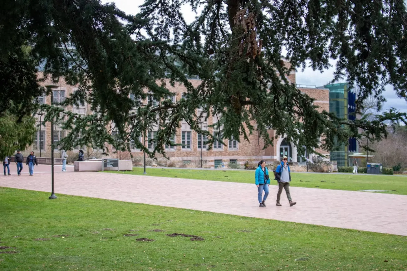 Universidades restringen pasantías a estudiantes internacionales