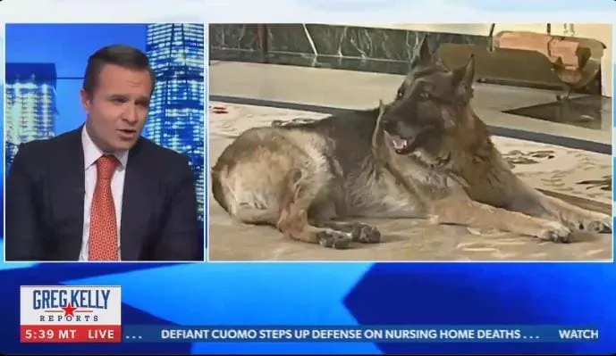 Presentador e invitado de Newsmax expresan críticas sobre el perro de Biden