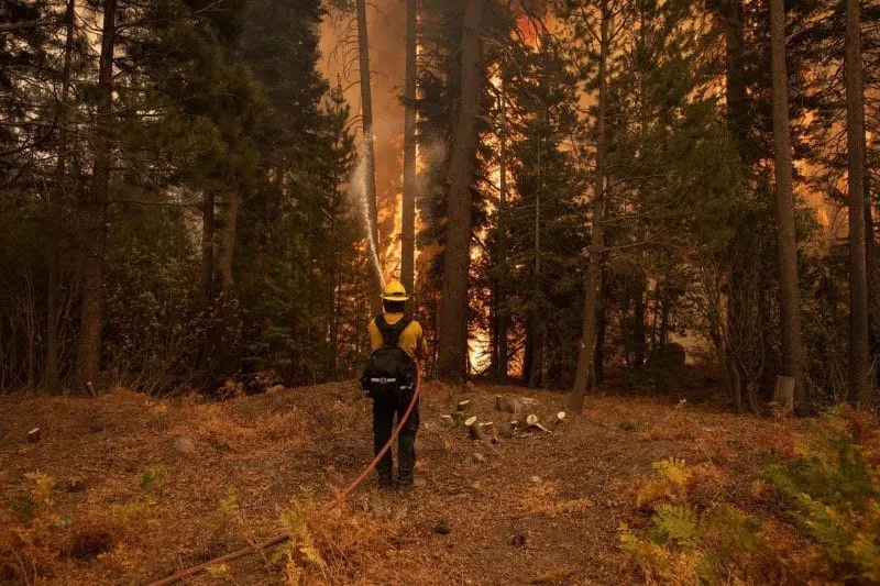 Casi 1 de cada 3 estadounidenses experimentó un desastre climático este verano