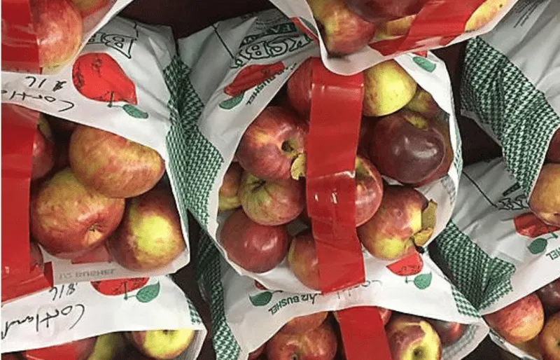 Posturas y propuestas de los candidatos sobre los tres de los grandes problemas de Boston: vivienda, desigualdad económica y escuelas