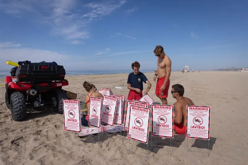 Aves y peces muertos llegan a la costa de California debido a un derrame de petróleo