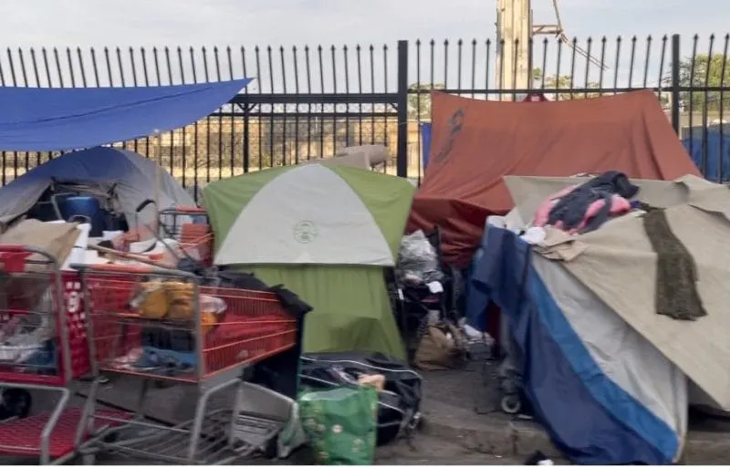 En Mass and Cass hasta las ratas se están enfermando