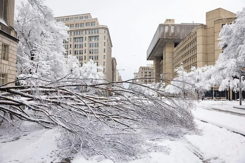 tormenta invernal en Washington y Virginia