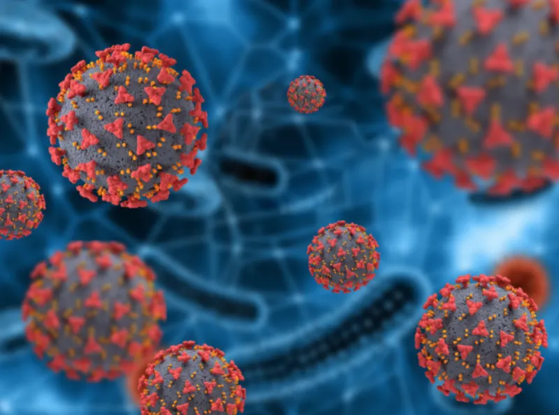 OMS envía una nueva alerta sobre el covid-19