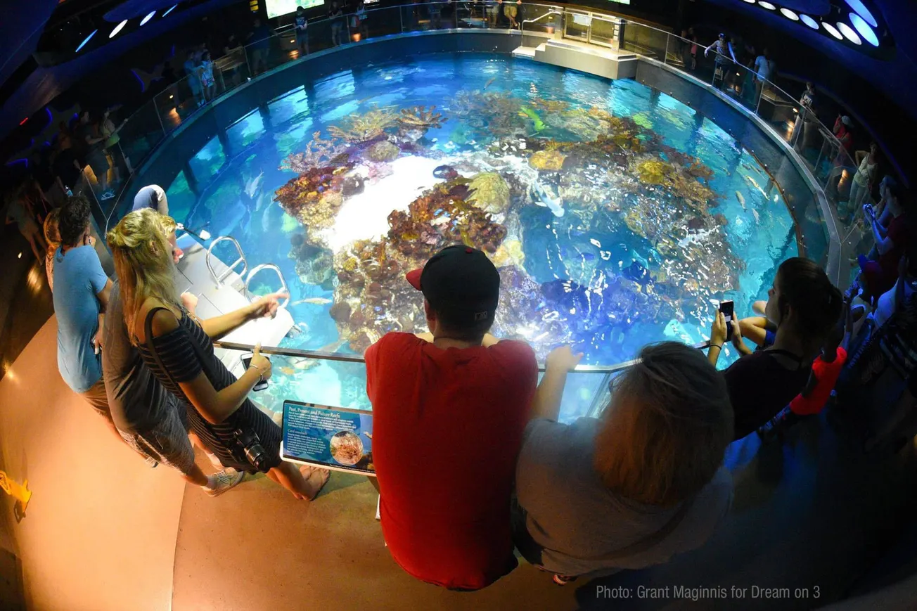 Acuario de Nueva Inglaterra celebra el Día Mundial de los Océanos
