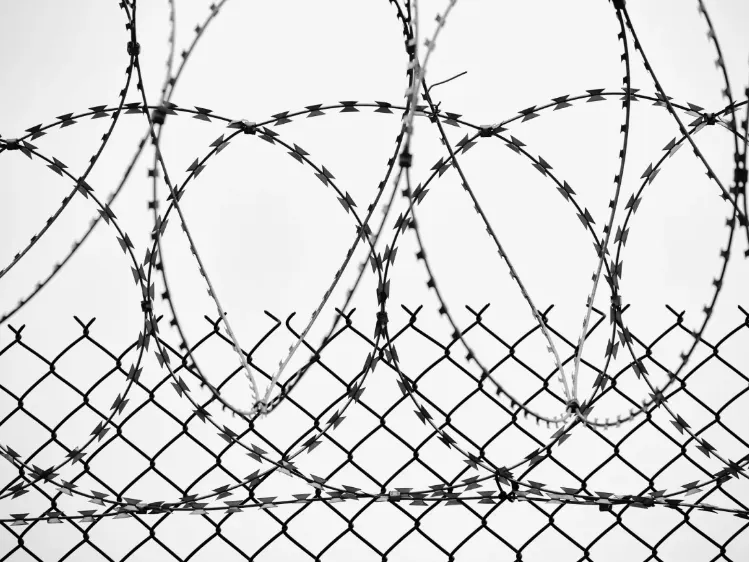 Foto: Archivo Pexels