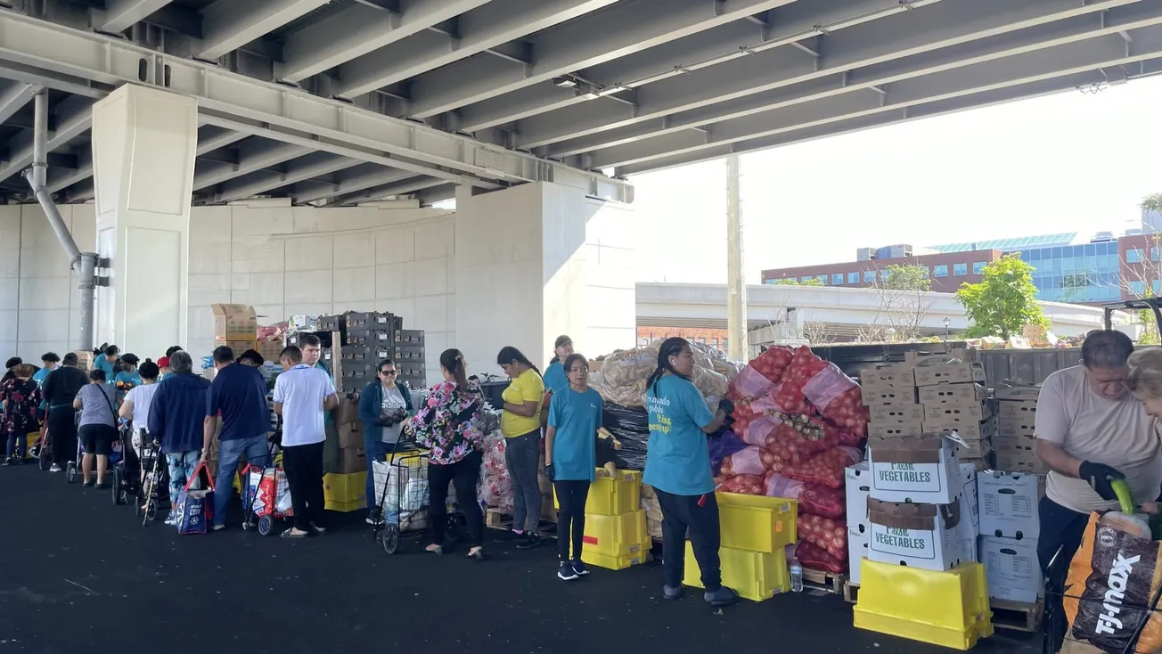La Colaborativa distribuye cada semana alimentos a más de 5000 familias de Chelsea y sus alrededores. La entrega se hace todo