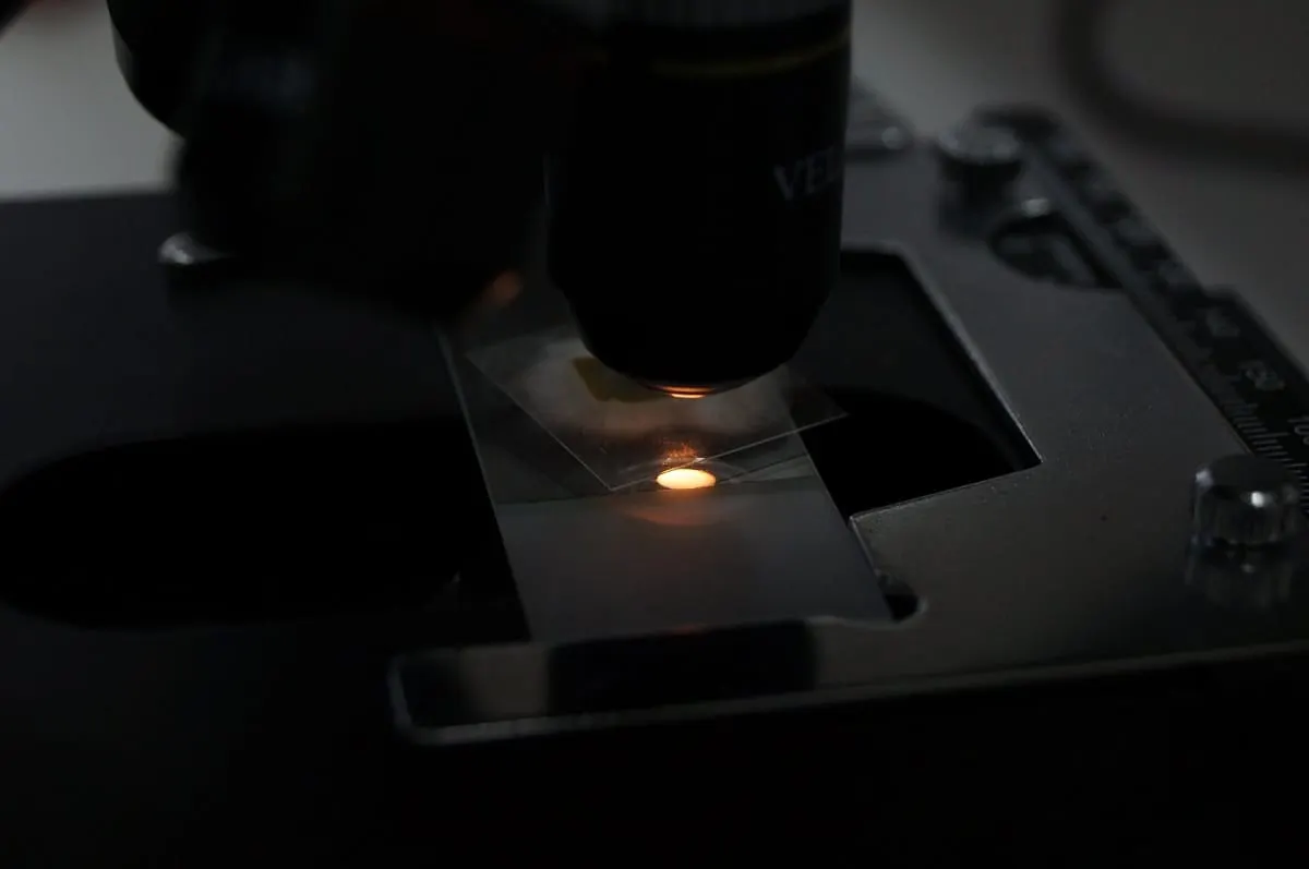 Aumento de COVID-19 en aguas residuales de Massachusetts