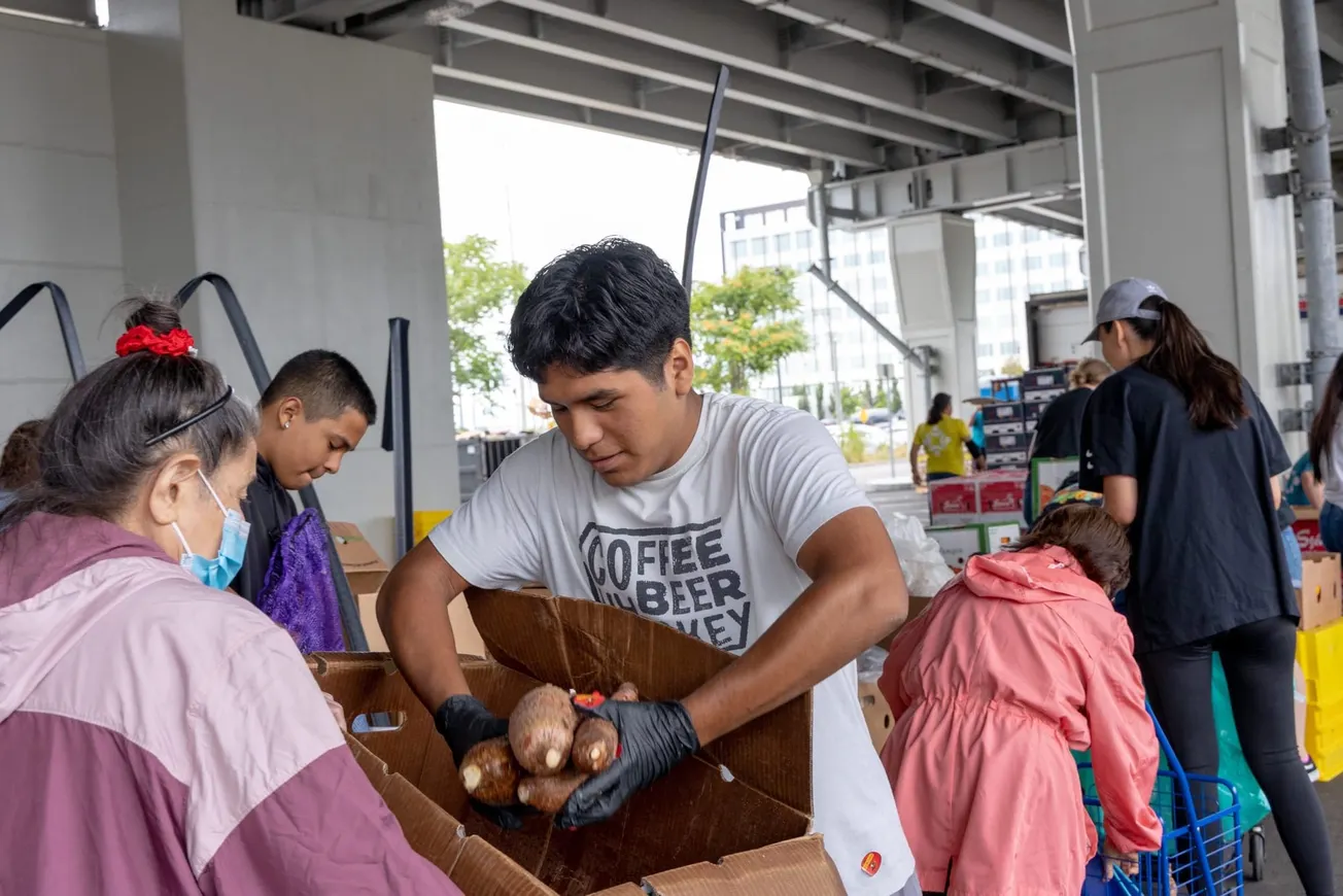 La yuca es uno de los alimentos básicos entre la cultura latina, Food For Free, organización de redistribución de alimentos d