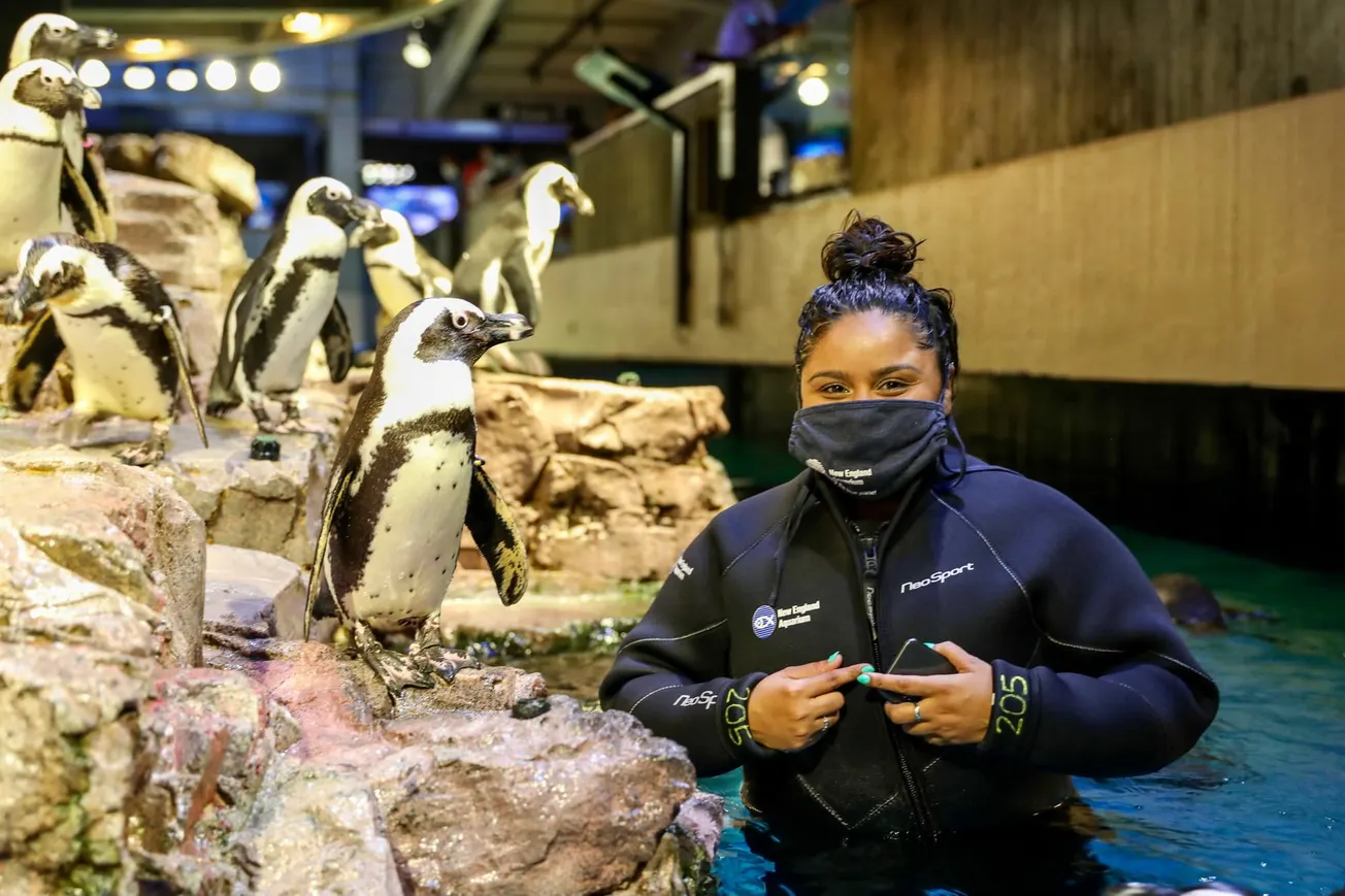 Marisa Bernal en el New England Aquarium