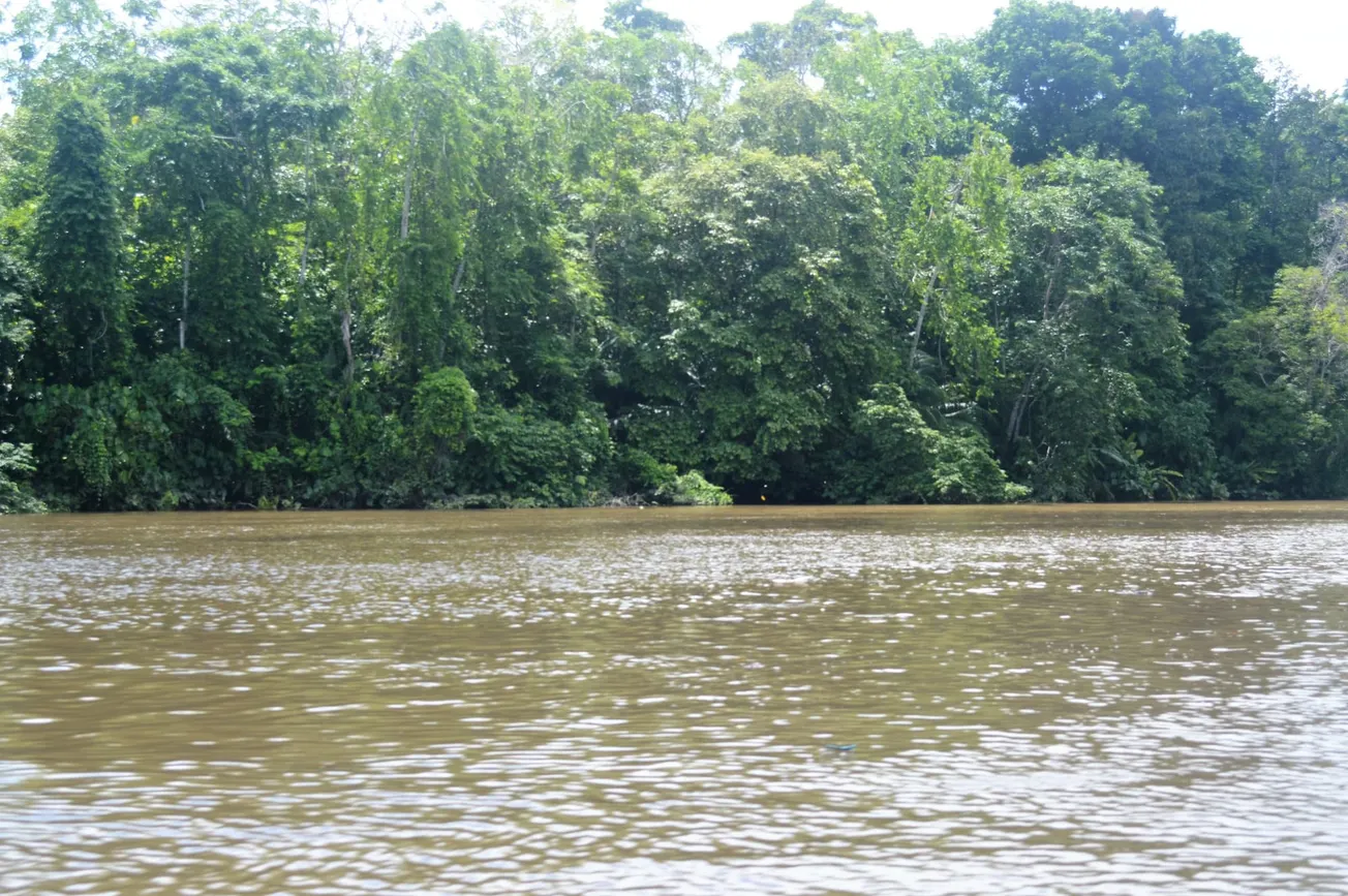 Los Venezolanos que entren a Panamá por el Darién no serán elegibles para vivir en EE.UU.