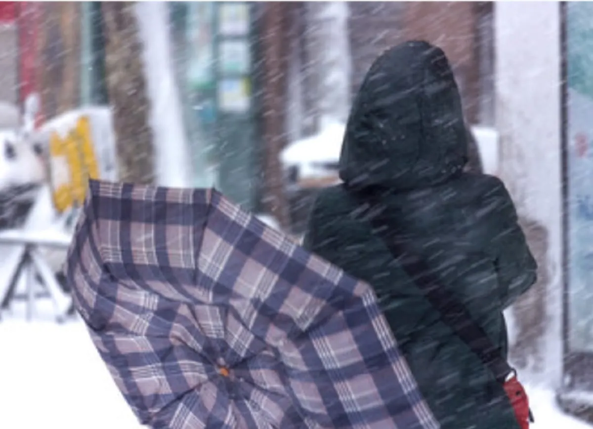 Se mantiene la alerta por fuertes vientos hasta el martes en varias zonas de MA